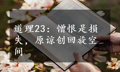 道理23：憎恨是损失，原谅创回旋空间