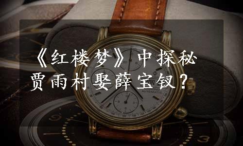 《红楼梦》中探秘贾雨村娶薛宝钗？