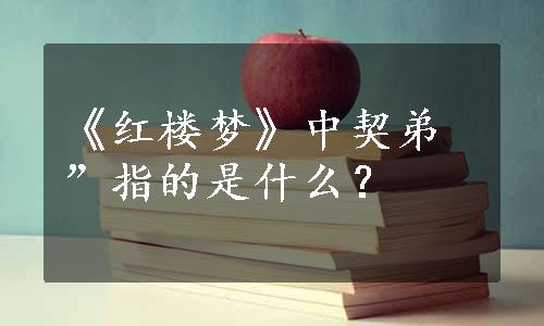 《红楼梦》中契弟”指的是什么？