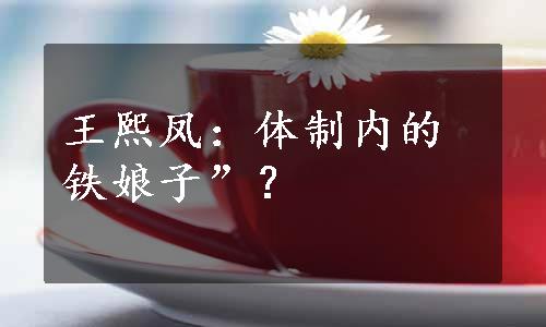 王熙凤：体制内的铁娘子”？