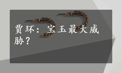 贾环：宝玉最大威胁？