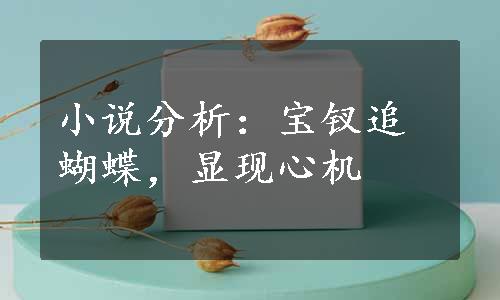 小说分析：宝钗追蝴蝶，显现心机