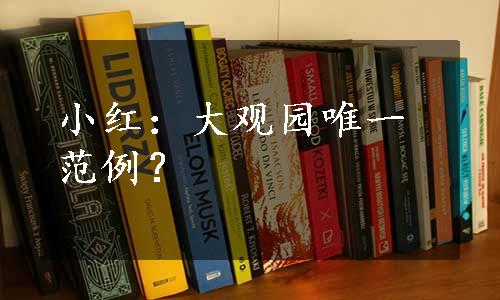 小红：大观园唯一范例？