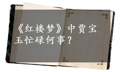 《红楼梦》中贾宝玉忙碌何事？