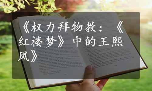 《权力拜物教：《红楼梦》中的王熙凤》