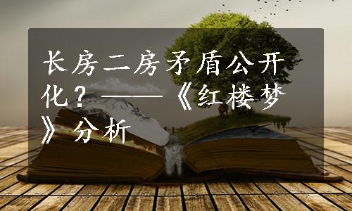 长房二房矛盾公开化？——《红楼梦》分析