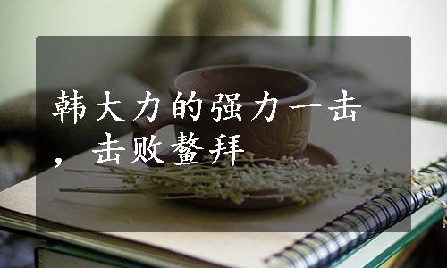 韩大力的强力一击，击败鳌拜