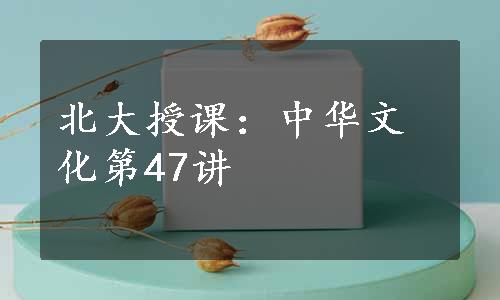 北大授课：中华文化第47讲