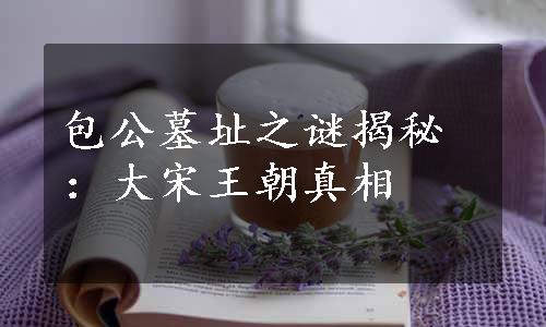 包公墓址之谜揭秘：大宋王朝真相