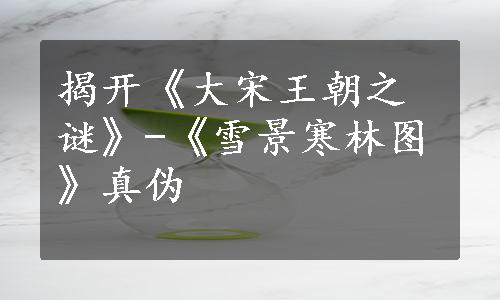 揭开《大宋王朝之谜》-《雪景寒林图》真伪