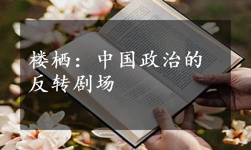 楼栖：中国政治的反转剧场