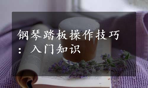 钢琴踏板操作技巧：入门知识