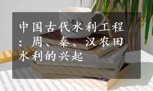 中国古代水利工程：周、秦、汉农田水利的兴起