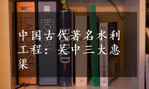 中国古代著名水利工程：关中三大惠渠