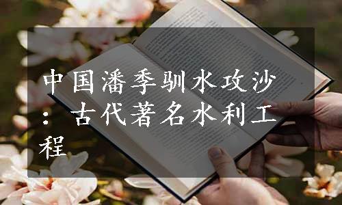 中国潘季驯水攻沙：古代著名水利工程