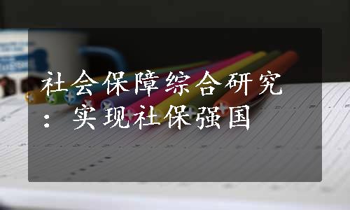 社会保障综合研究：实现社保强国