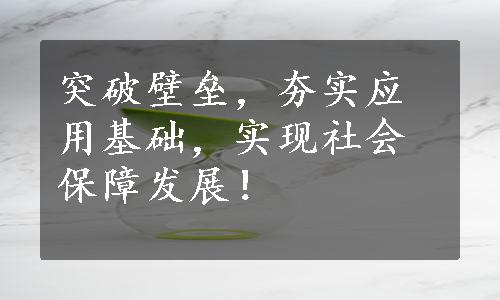 突破壁垒，夯实应用基础，实现社会保障发展！