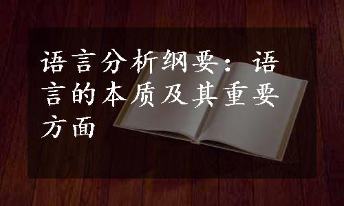 语言分析纲要：语言的本质及其重要方面