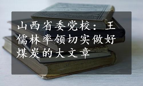 山西省委党校：王儒林率领切实做好煤炭的大文章