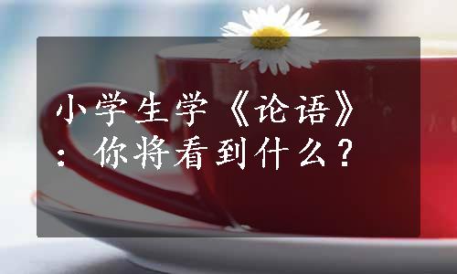 小学生学《论语》：你将看到什么？