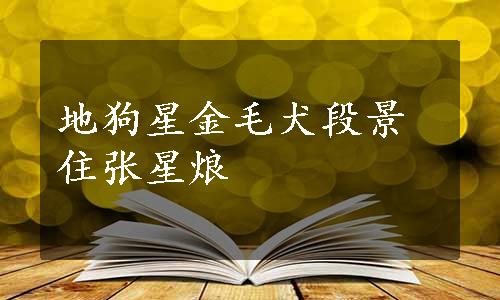 地狗星金毛犬段景住张星烺