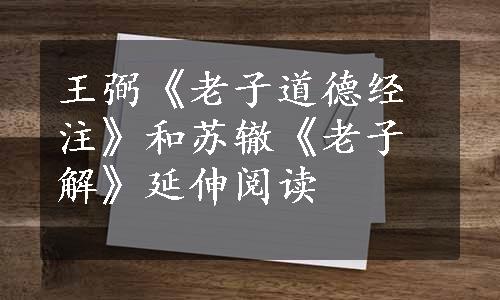 王弼《老子道德经注》和苏辙《老子解》延伸阅读