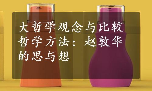 大哲学观念与比较哲学方法：赵敦华的思与想