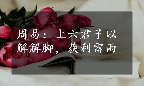 周易：上六君子以解解脚，获利雷雨