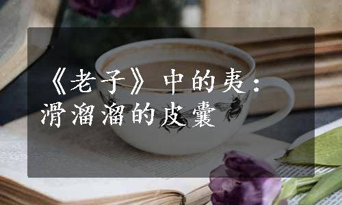 《老子》中的夷：滑溜溜的皮囊