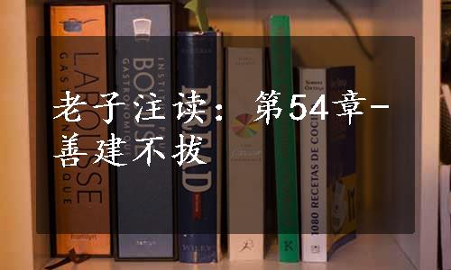 老子注读：第54章-善建不拔