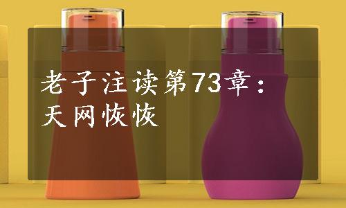 老子注读第73章：天网恢恢