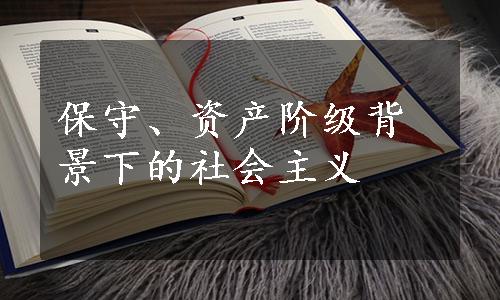 保守、资产阶级背景下的社会主义