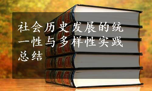 社会历史发展的统一性与多样性实践总结