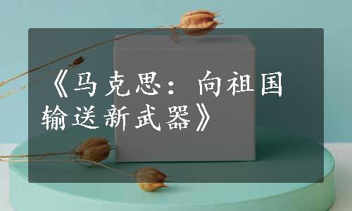 《马克思：向祖国输送新武器》