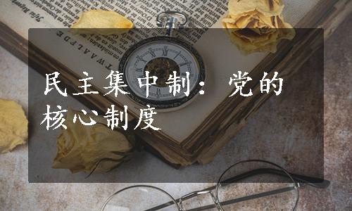 民主集中制：党的核心制度