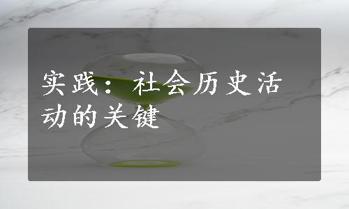 实践：社会历史活动的关键