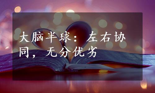 大脑半球：左右协同，无分优劣