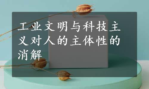 工业文明与科技主义对人的主体性的消解