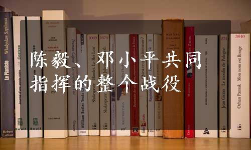 陈毅、邓小平共同指挥的整个战役