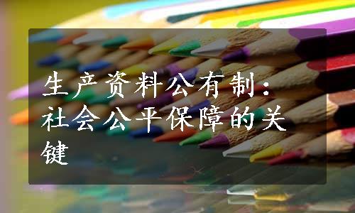 生产资料公有制：社会公平保障的关键