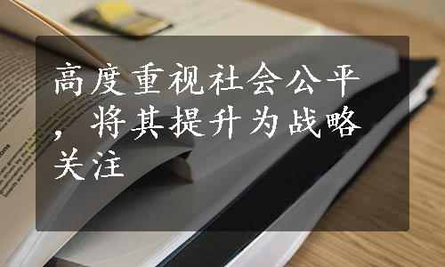 高度重视社会公平，将其提升为战略关注