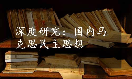 深度研究：国内马克思民主思想