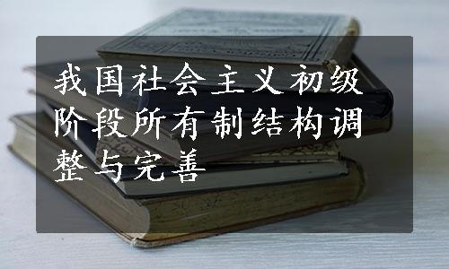 
我国社会主义初级阶段所有制结构调整与完善
