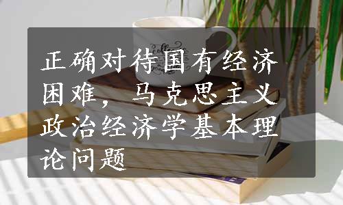 正确对待国有经济困难，马克思主义政治经济学基本理论问题