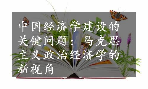 中国经济学建设的关键问题：马克思主义政治经济学的新视角