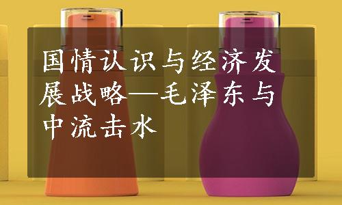 国情认识与经济发展战略—毛泽东与中流击水