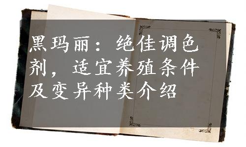 黑玛丽：绝佳调色剂，适宜养殖条件及变异种类介绍