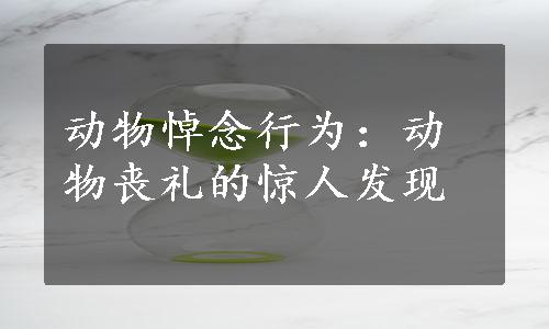 动物悼念行为：动物丧礼的惊人发现