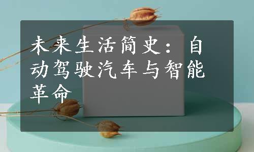 未来生活简史：自动驾驶汽车与智能革命