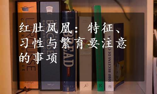 红肚凤凰：特征、习性与繁育要注意的事项